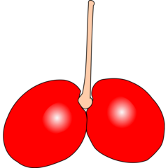 img.png