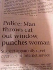 450px-Man-throws-cat-out-window-punches-woman.jpg