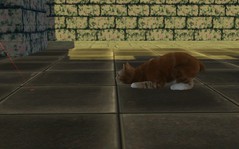 Screenshot-9.jpg