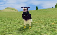 Screenshot-225.jpg