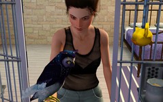 Screenshot-242.jpg