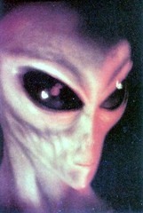 Grey_alien.jpg