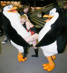 penguinrape.jpg