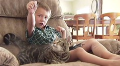 cat saves boy.jpg cat saves boy.jpg
