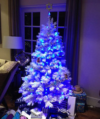 hanukkah-bush_1.jpg