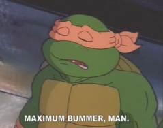 bummer.png