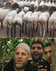muslim men + sexy lambs.jpg