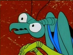 zorak.jpg