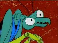 zorak.jpg
