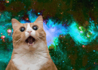 fa.gif