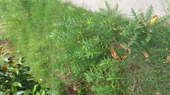 20140608_153345.jpg