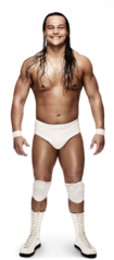 bo_dallas_jan_2014_by_dfreedom30-d78a2rw[1].png