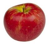 apple.jpg