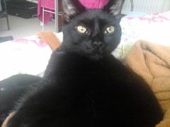 20140616_115547.jpg