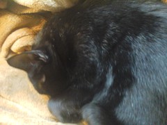 20140616_130209.jpg