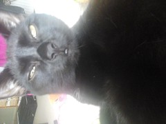 20140616_115534.jpg