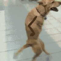 1402912229237.gif