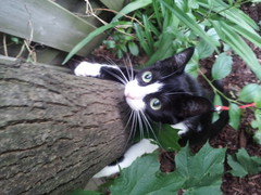 20140613_092741.jpg 20140613_092741.jpg