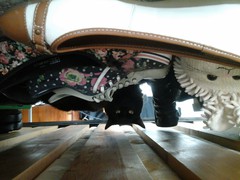 20140714_153940.jpg