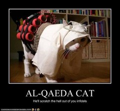 Al-Qaeda Cat_bomb.jpg