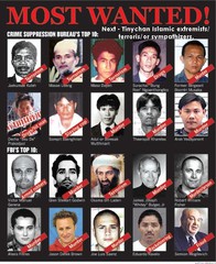 FBI Most wanted TC.jpg
