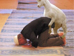 Muslim man prays Goat cums soon_.jpg