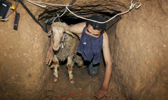 Palestinian-smuggler-move-001.jpg