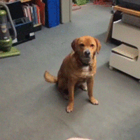 1406160171941.gif