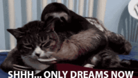 1406168405288.gif