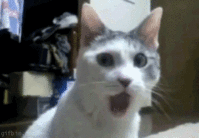 1406400218262.gif