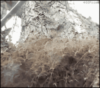 1406503313750.gif