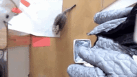1406504255360.gif