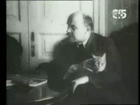 lenny+cat.gif