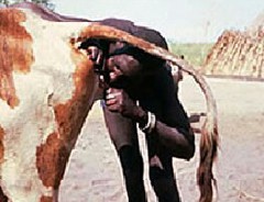 38 - Niggers Lick Animal Genitals_jpg-1.jpg