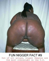 09 - Fat Nigger She-Boons_jpg-1.jpg