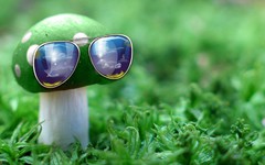 Mushroom-Sunglasses-Cool-Green.jpeg