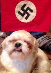 image.jpg