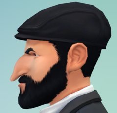 Shlomo.png