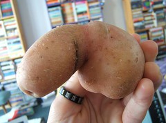 negidick-tater.jpg