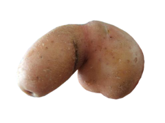 dicktater.png