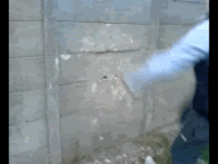 1410208776914.gif