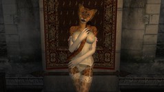 1076412 - Oblivion The_Elder_Scrolls khajiit.jpg