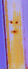 plank.png