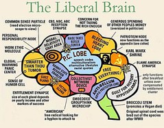 liberal brain.jpg