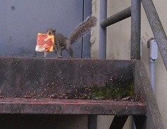1412094804583.jpg