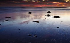 cardiff_by_the_sea_after dusk low tide.jpg