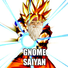 vlbgnomesaiyan.jpg