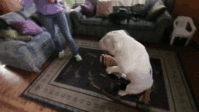 1413340713723.gif