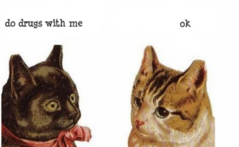 tumblr_m34wbaBkcg1r6x8cto1_400.png