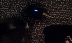 dna30.jpg